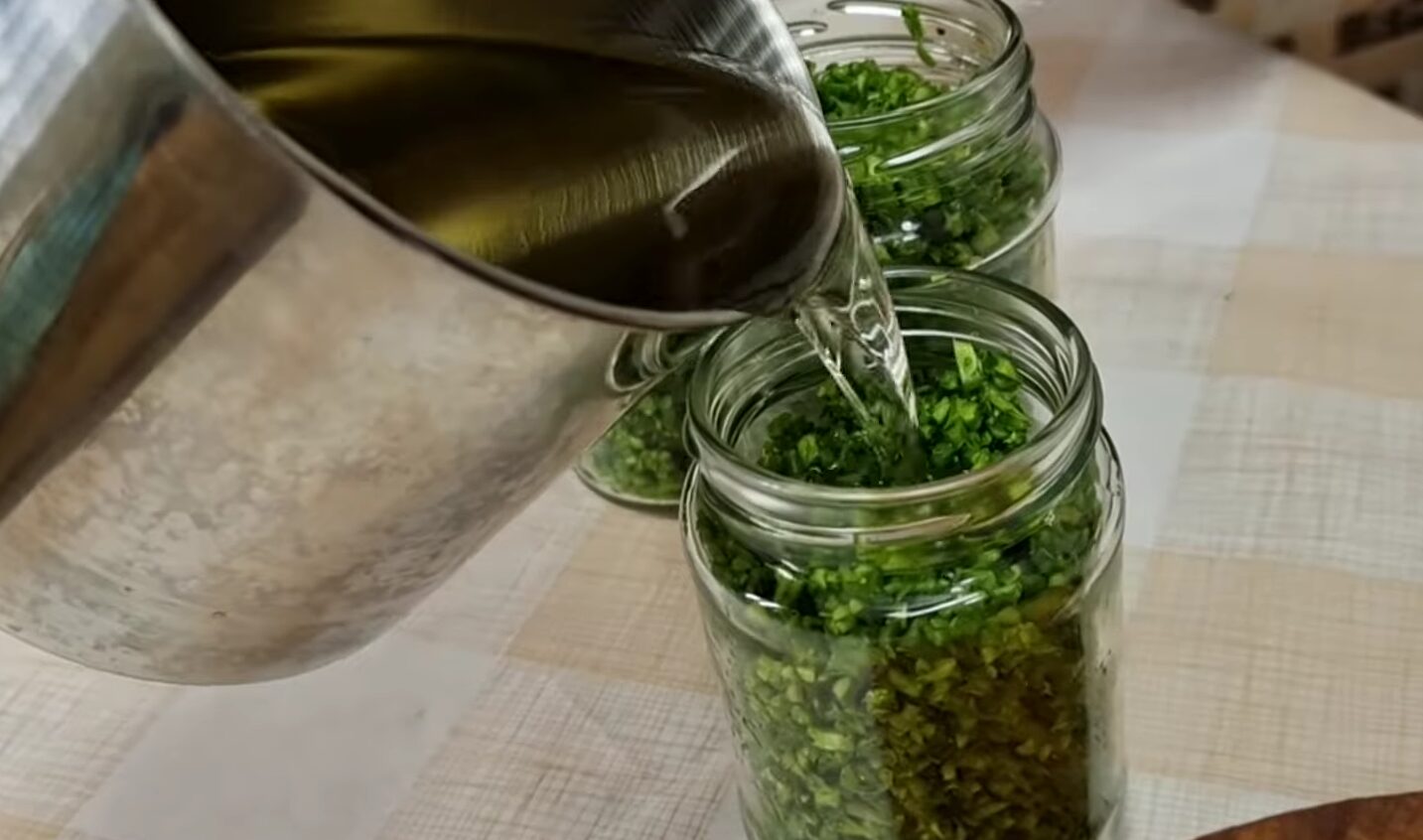 олія з часникових стрілок