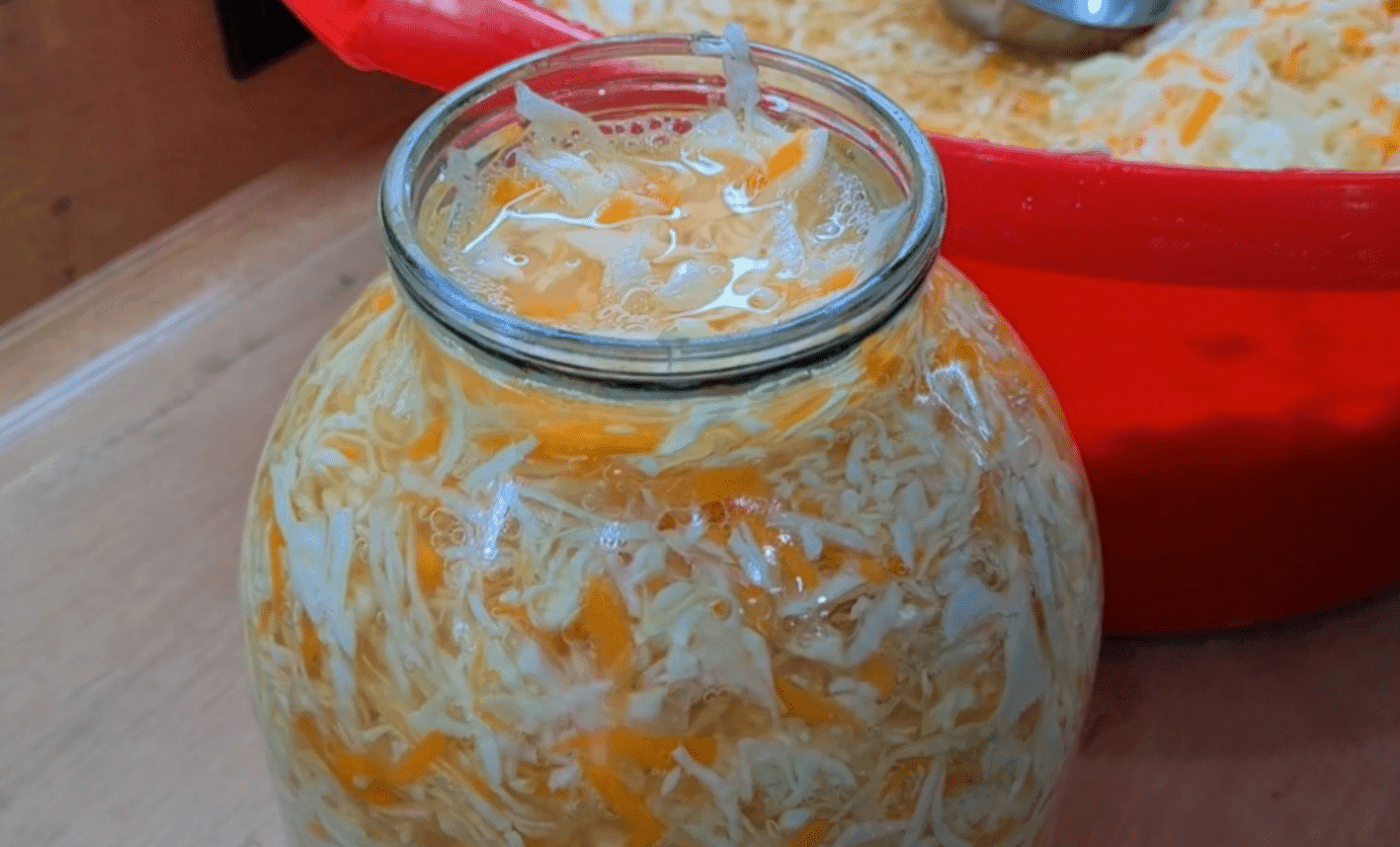 квашена капуста
