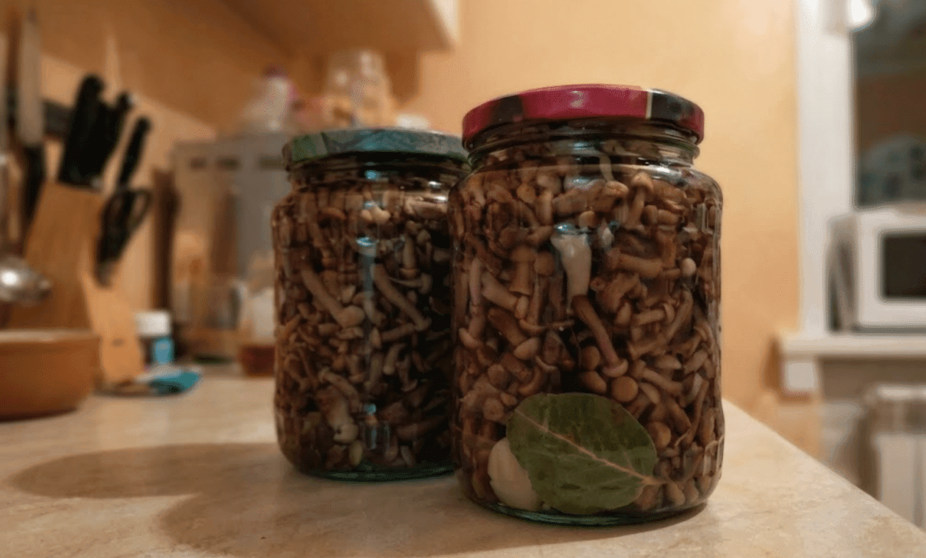 Мариновані опеньки